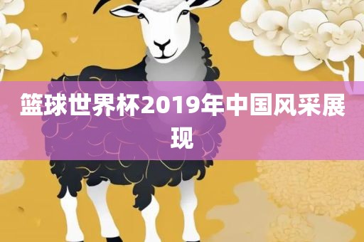 篮球世界杯2019年中国风采展现
