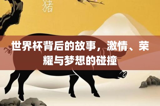 世界杯背后的故事，激情、荣耀与梦想的碰撞