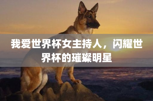 我爱世界杯女主持人，闪耀世界杯的璀璨明星