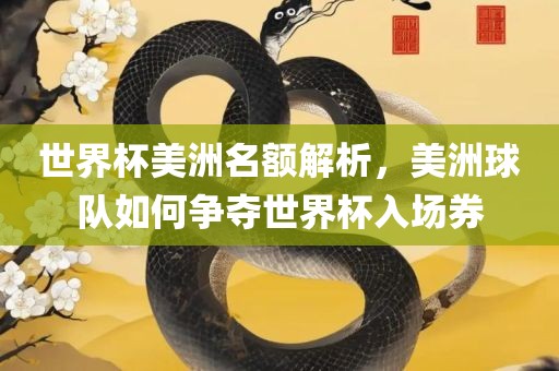 世界杯美洲名额解析，美洲球队如何争夺世界杯入场券