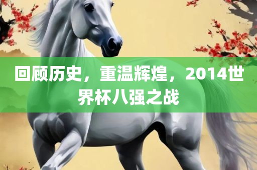 回顾历史，重温辉煌，2014世界杯八强之战