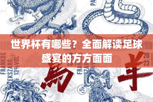 世界杯有哪些？全面解读足球盛宴的方方面面