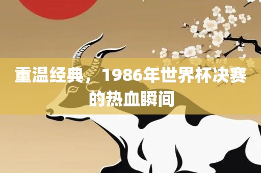 重温经典，1986年世界杯决赛的热血瞬间