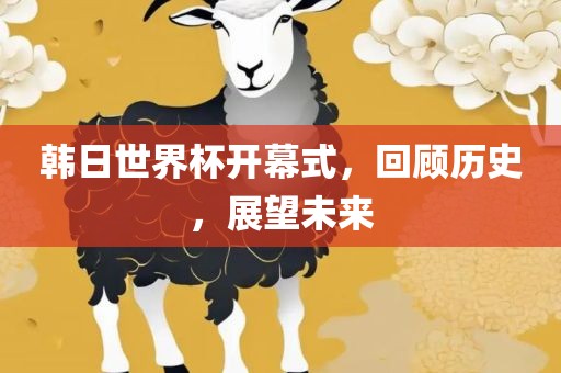 韩日世界杯开幕式，回顾历史，展望未来