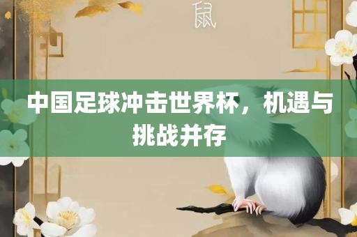 中国足球冲击世界杯，机遇与挑战并存