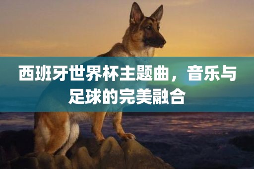 西班牙世界杯主题曲，音乐与足球的完美融合