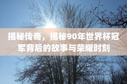 揭秘传奇，揭秘90年世界杯冠军背后的故事与荣耀时刻