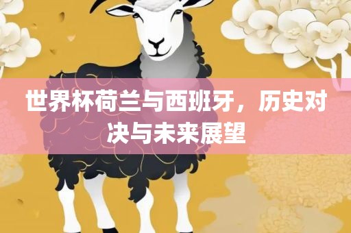 世界杯荷兰与西班牙，历史对决与未来展望