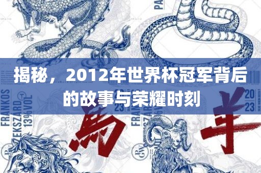 揭秘，2012年世界杯冠军背后的故事与荣耀时刻
