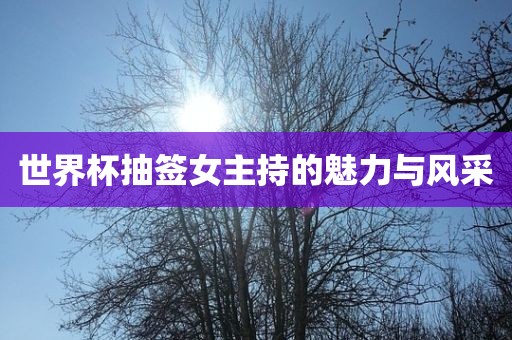 世界杯抽签女主持的魅漯河市盈旭机械设备有限公司力与风采
