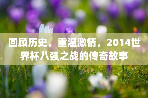 回顾历史，重温激情，2014世界杯八强之战的传奇故事