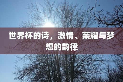 世界杯的诗，激情、荣耀与梦想的韵律