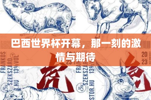 巴西世界杯开幕，那一刻的激情与期待