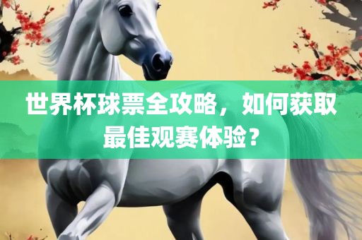 世界杯球票全攻略，如何获取最佳观赛体验？