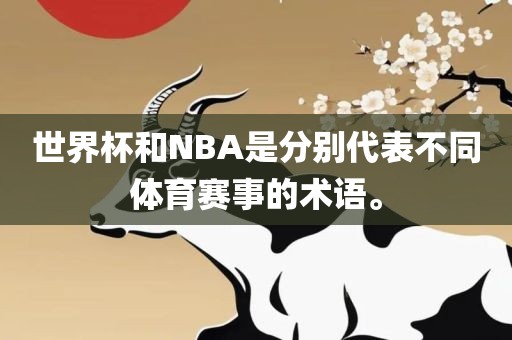 世界杯和NBA是分别代表不同体育赛事的术语。