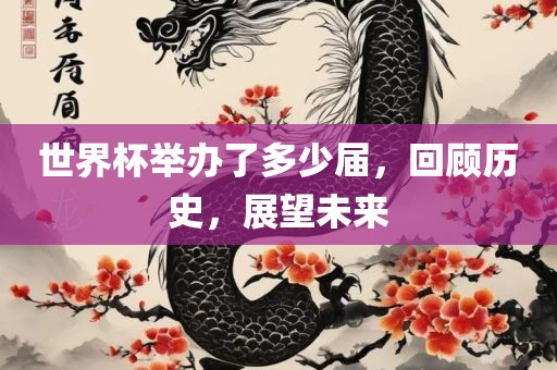世界杯举办了多少届，回顾历史，展望未来