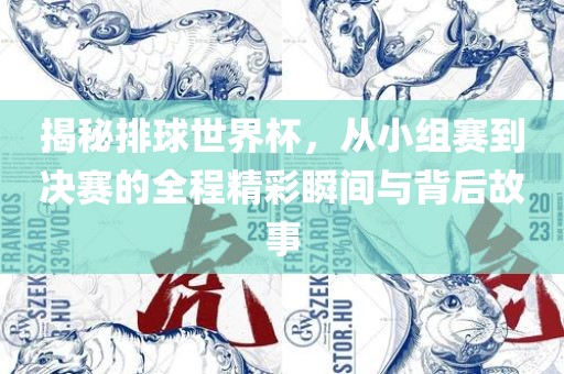 揭秘排球世界杯，从小组赛到决赛的全程精彩瞬间与背后故事