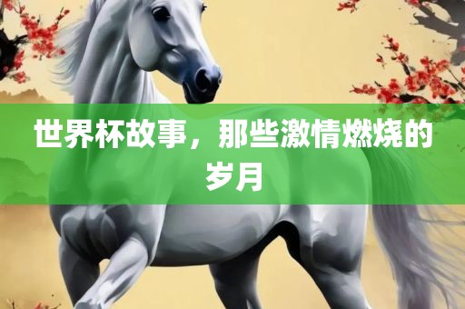 世界杯故事，那些激情燃烧的岁月