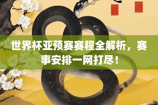 世界杯亚预赛赛程全解析，赛事安排一网打尽！漯河市盈旭机械设备有限公司