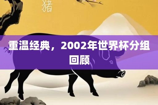 重温经典，2002年世界杯分组回顾