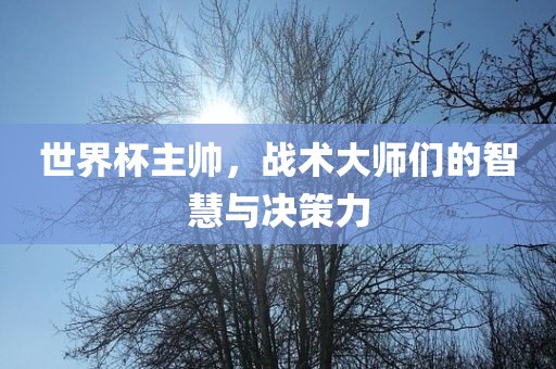 世界杯主帅，战术大师们的智慧与决策力