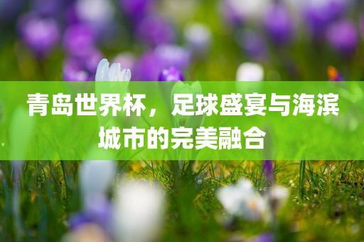 青岛世界杯，足球盛宴与海滨城市的完美融合