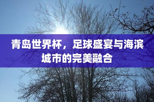 青岛世界杯，足球盛宴与海滨城市的完美融合