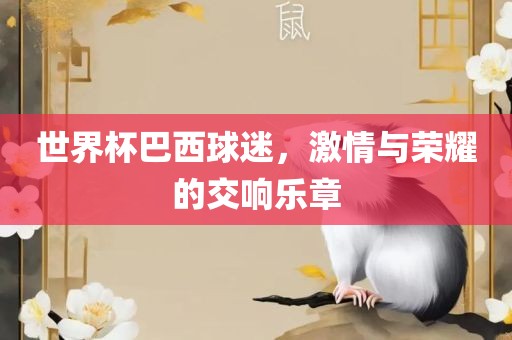 世界杯巴西球迷，激情与荣耀的交响乐章