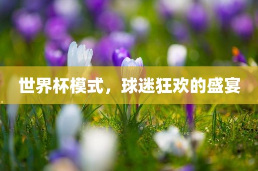世界杯模式，球迷狂欢的盛宴