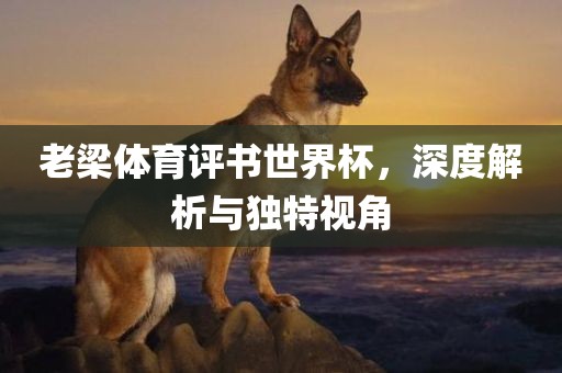 老梁体育评书世界杯，深度解析与独特视角