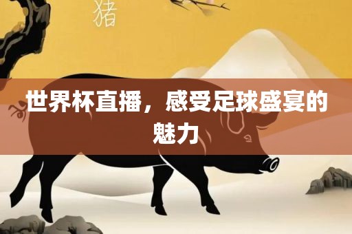 世界杯直播，感受足球盛宴的魅力