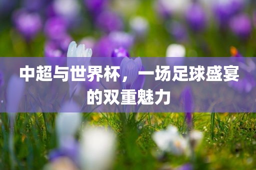 中超与世界杯，一场足球盛宴的双重魅力