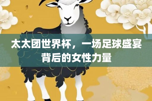 太太团世界杯，一场足球盛宴背后的女性力量