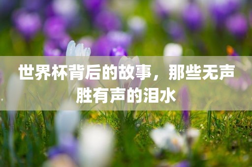 世界杯背后的故事，那些无声胜有声的泪水