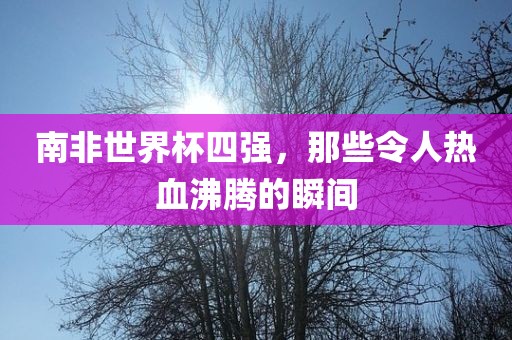南非世界杯四强，那些令人热血沸腾的瞬间