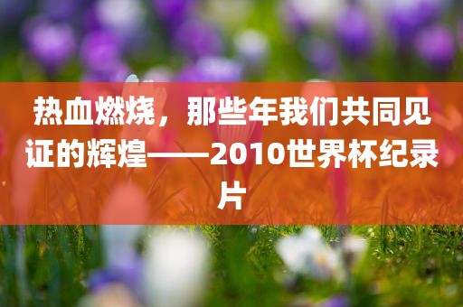 热血燃烧，那些年我们共同见证的辉煌——2010世界杯纪录片