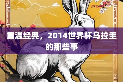 重温经典，2014世界杯乌拉圭的那些事