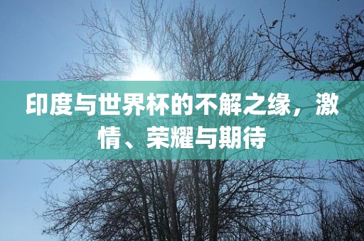 印度与世界杯的不解之缘，激情、荣耀与期待