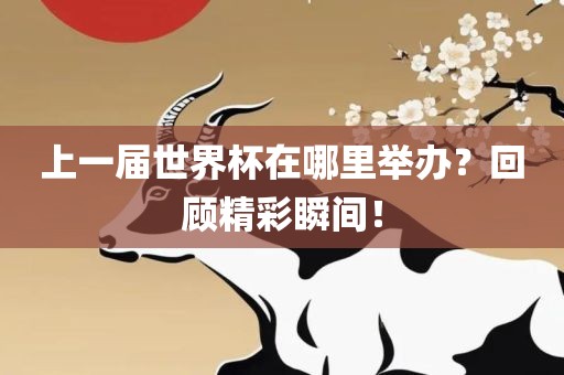 上一届世界杯在哪里举办？回顾精彩瞬间！