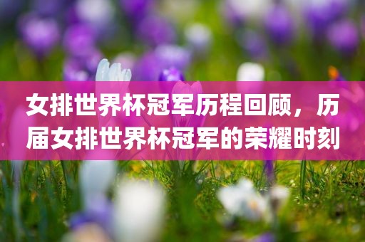 女排世界杯冠军历程回顾，历届女排世界杯冠军的荣耀时刻