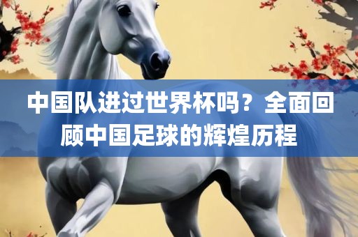 中国队进过世界杯吗？全面回顾中国足球的辉煌历程