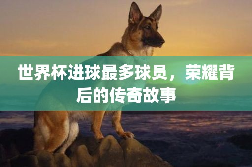 世界杯进球最多球员，荣耀背后的传奇故事