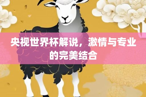 央视世界杯解说，激情与专业的完美结合
