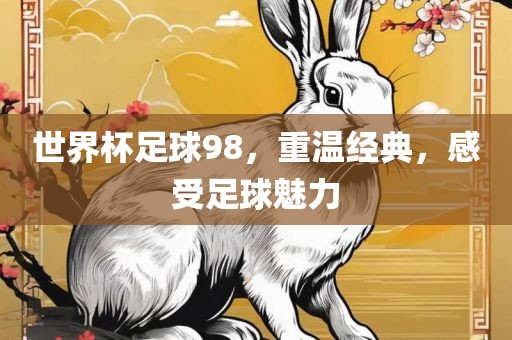 世界杯足球98，重温经典，感受足球魅力
