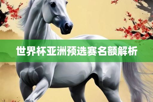 世界杯亚洲预选赛名额解析