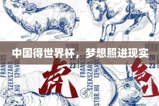 中国得世界杯，梦想照进现实