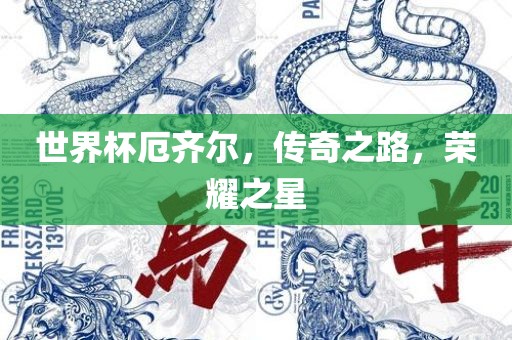 世界杯厄齐尔，传奇之路，荣耀之星