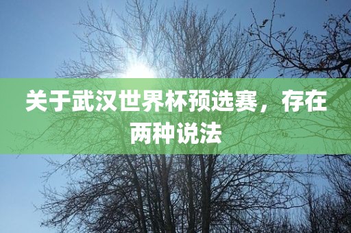 关于武汉世界杯预选赛，存在两种说法漯河市盈旭机械设备有限公司
