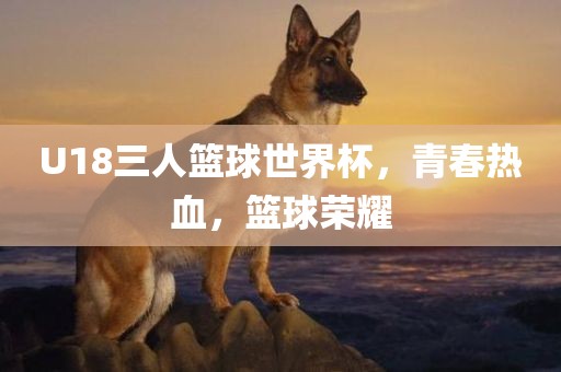 U18三人篮球世界杯，青春热血，篮球荣耀