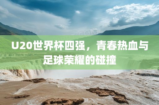 U20世界杯四强，青春热血与足球荣耀的碰撞